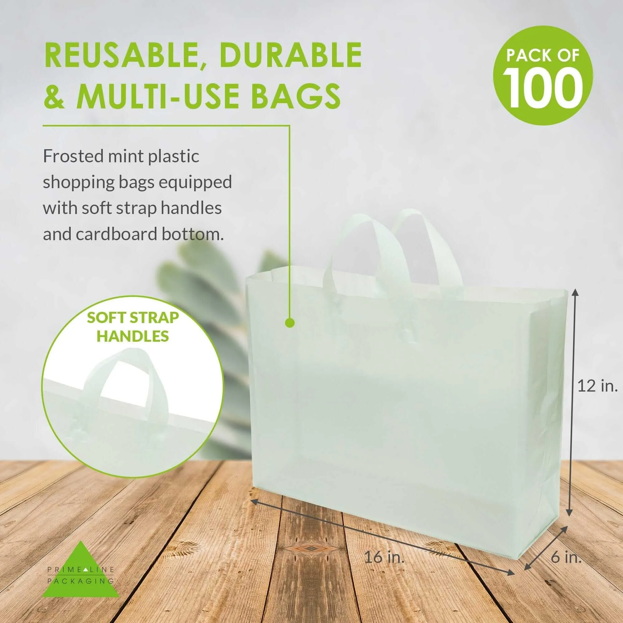 16x6x12 Large Frosted Mint Plastic Bags with Handles