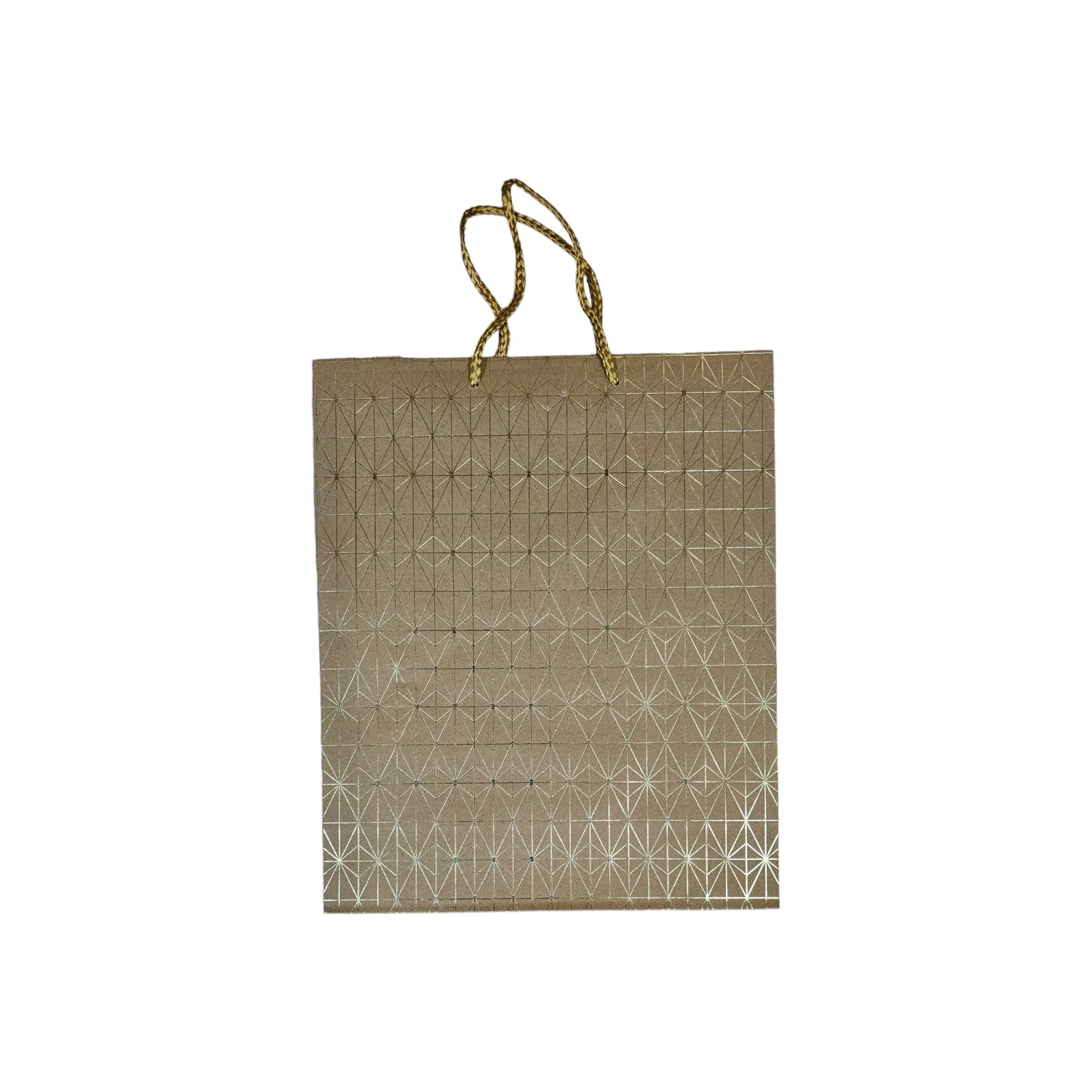 Kraft Party Gift Paper Bag with Metallic Print