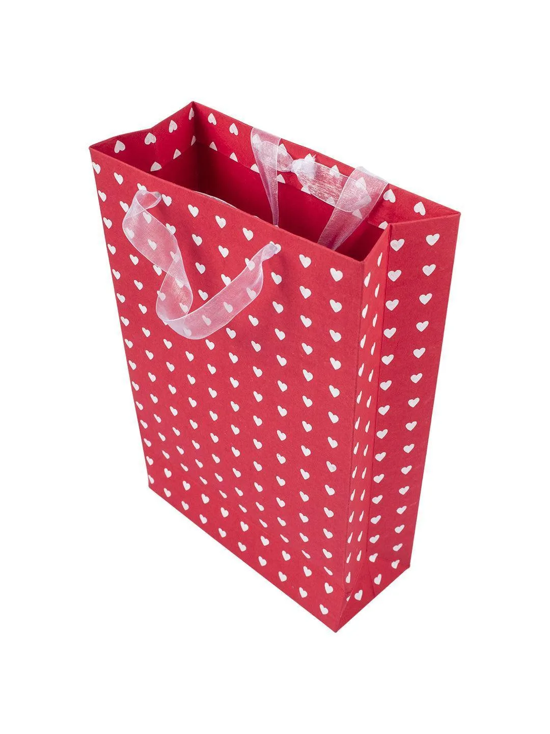 Large Valentine Gift Bag