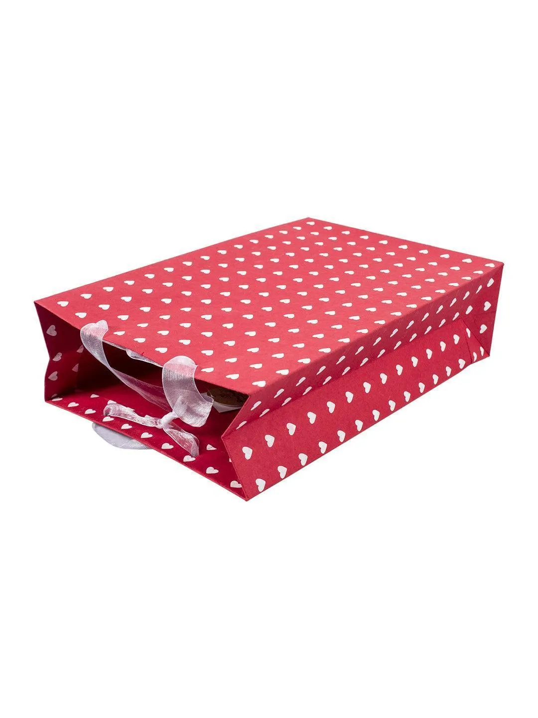 Large Valentine Gift Bag