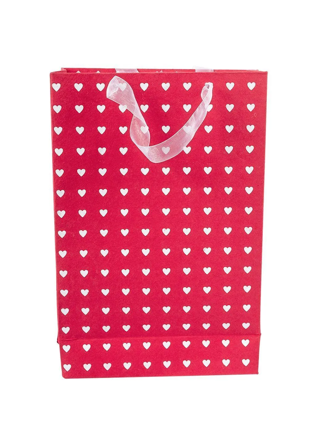 Large Valentine Gift Bag