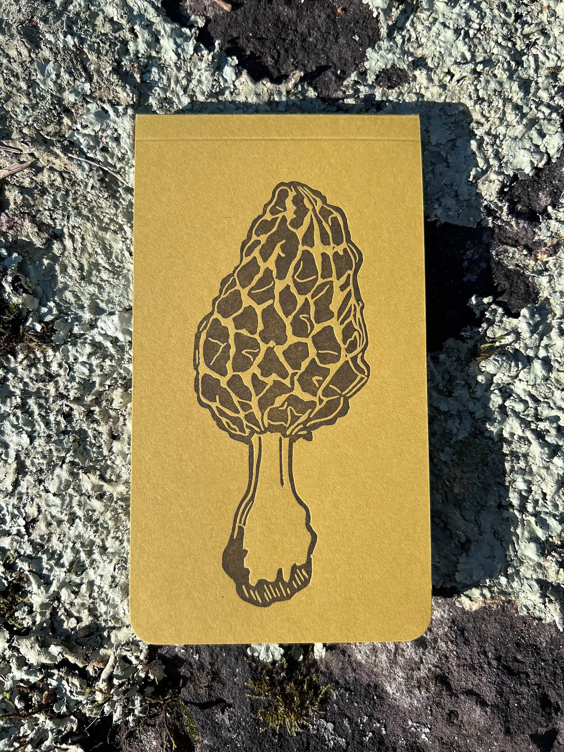 Morel mushroom jotter