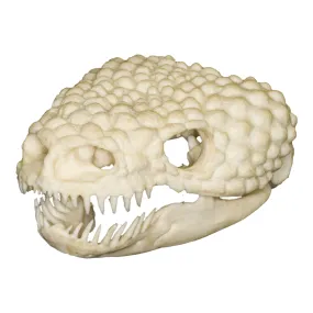 Replica Gila Monster Skull