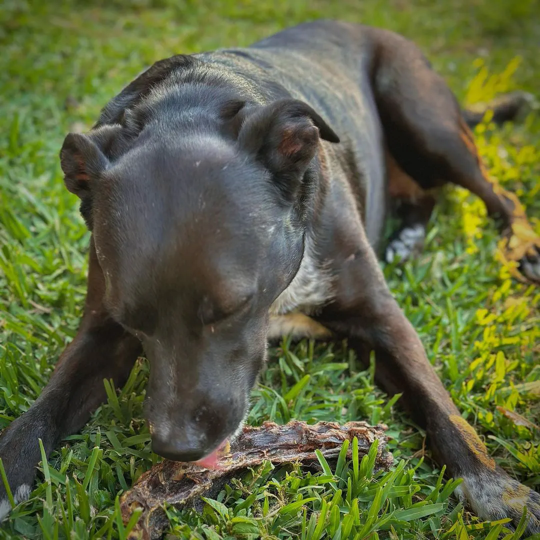 Roo Back Bone - Dog treat