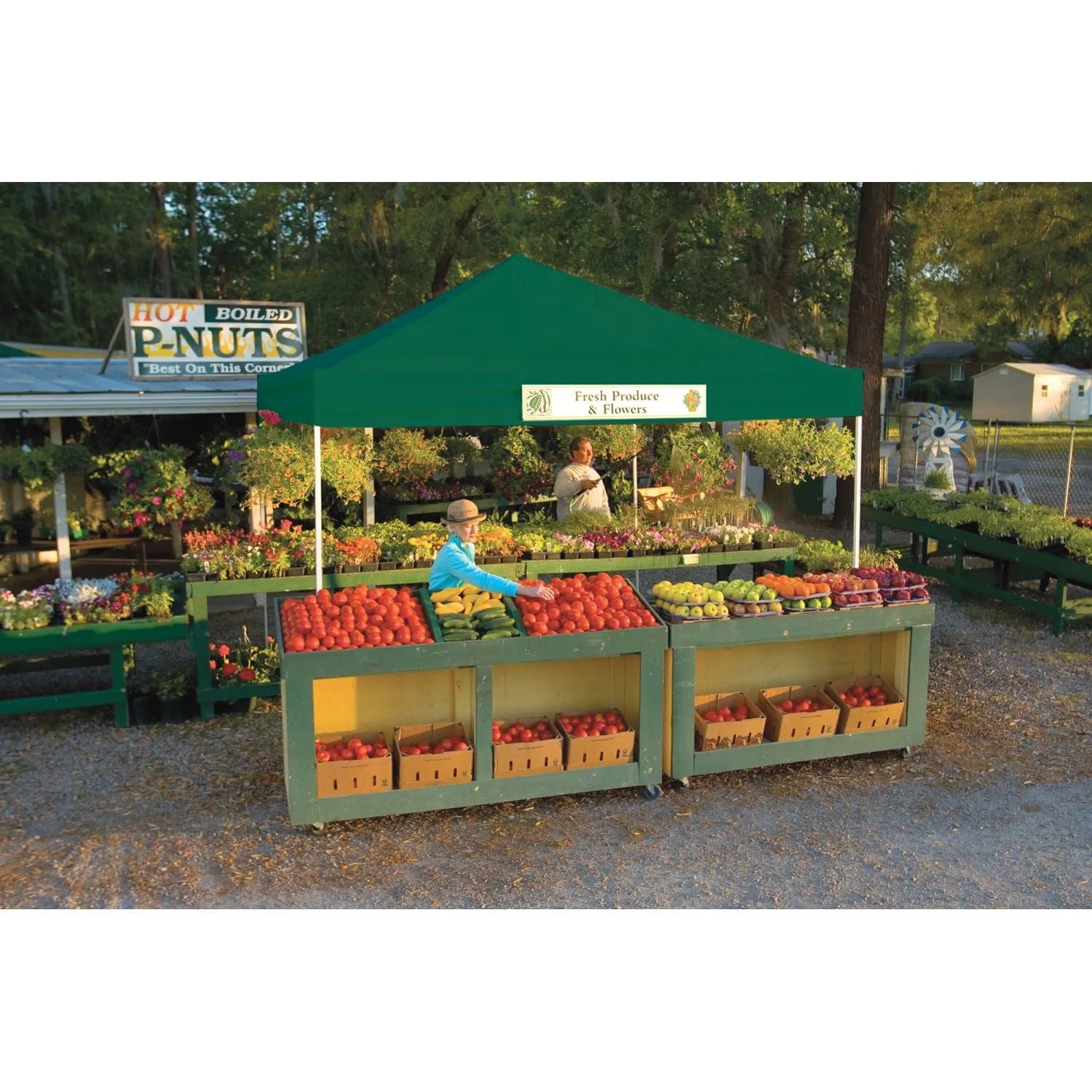 ShelterLogic | Pop-Up Canopy HD - Straight Leg 12 x 12 ft. Green