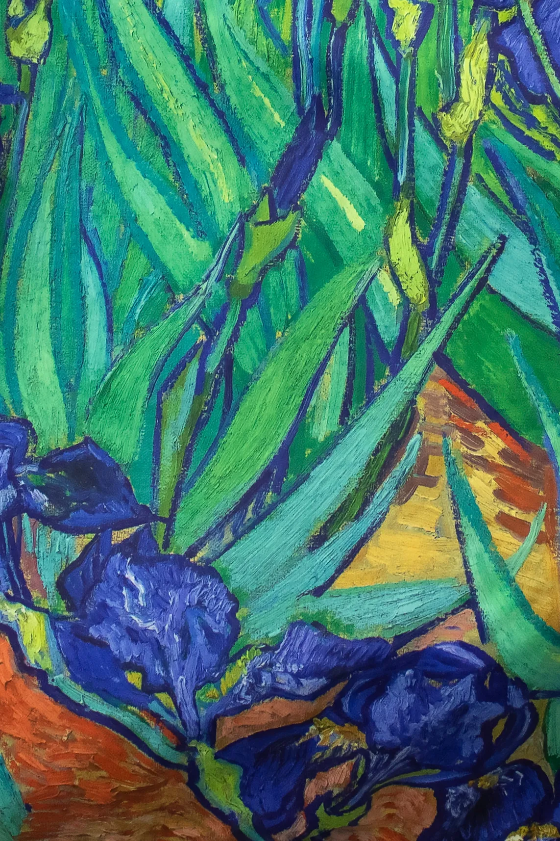 Van Gogh | Irises