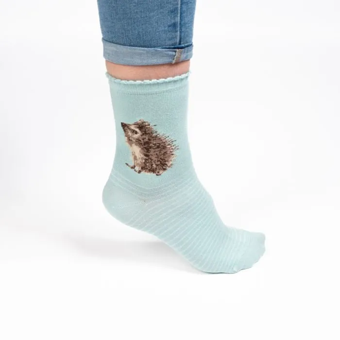 Wrendale designs “Hedgehugs” Hedgehog Socks